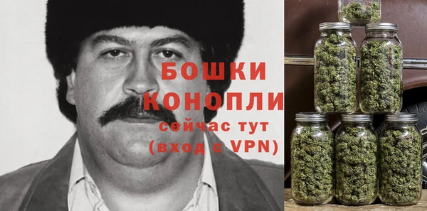 трава Михайловск