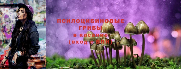 скорость Медногорск