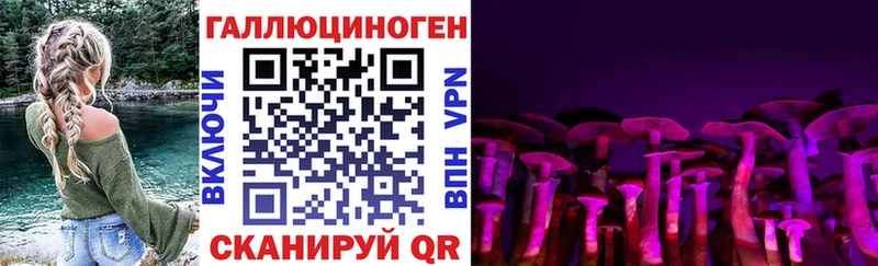 даркнет сайт  Псков  Псилоцибиновые грибы GOLDEN TEACHER 