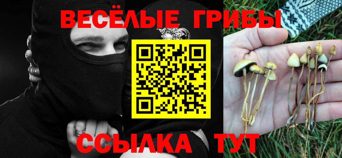 Псилоцибиновые грибы мухоморы Псков